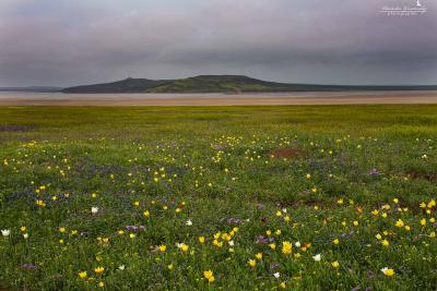 Прикрепленное изображение: IMG_4769.jpg